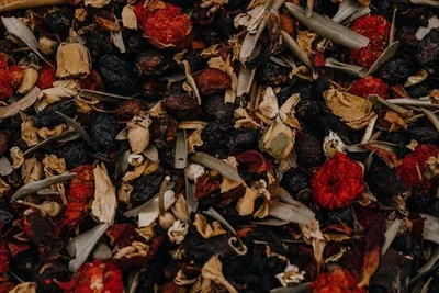 Types Of Air Fresheners: Best Options, Different Varieties, And Tips Types Of Air Fresheners: Best Options, Different Varieties, And Tips