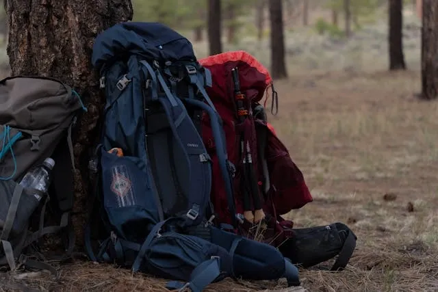 When Were Backpacks Invented? Complete History, Evolution, And Key Milestones When Were Backpacks Invented? Complete History, Evolution, And Key Milestones