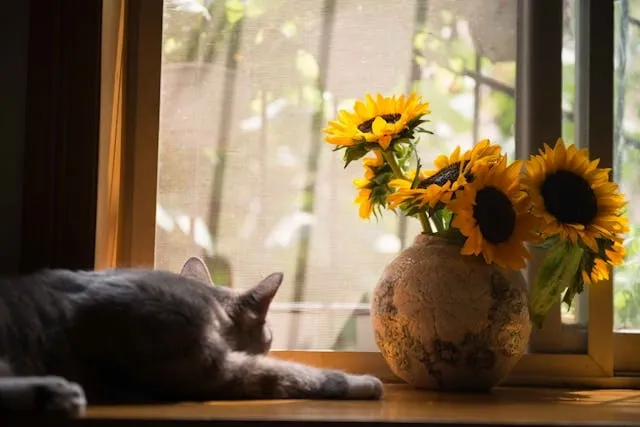 Are Plug In Air Fresheners Safe? Risks, Pet Safety, Toxic Ingredients, And Fire Hazards Are Plug In Air Fresheners Safe? Risks, Pet Safety, Toxic Ingredients, And Fire Hazards
