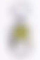 ImprintNow.Com