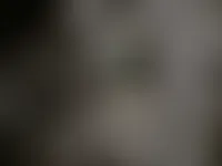 ImprintNow.Com
