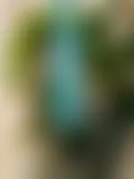 ImprintNow.Com