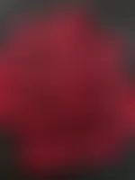 ImprintNow.Com