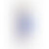 Blue-Gold
