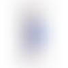 Blue-Silver