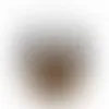 1.45'' - Imprint Now