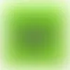 Square - Imprint Now
