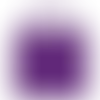 Plum - Imprint Now