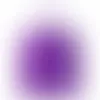 Roland Purple - Imprint Now