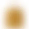 Orange - Imprint Now