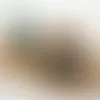 Roll Labels - Imprint Now