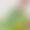 Clear Stickers - Imprint Now