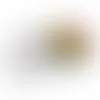 Small Top View Tin-Jelly Belly® - Imprint Now