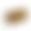 Gold Slyder Tin - Imprint Now