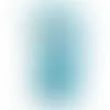 Hibiscus Blue Flip Flop Mint Tin - Imprint Now