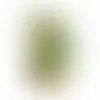Glass Mini Mason Jars - Starzmania - Imprint Now