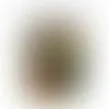 Jar with Jelly Bellies - SG400 - Imprint Now