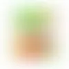 Square Acetates - Assorted Fish - Imprint Now