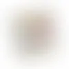 Square Acetates - Raisin Nut Trail Mix - Imprint Now