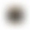 Round Acetates - Honey Roasted Peanuts - Imprint Now