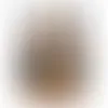 Champagne Bottle - Honey Roasted Peanuts 8" - Imprint Now