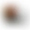 Round Tin with Jelly Bellies - SBF3100 - Imprint Now