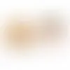Fresh Beginnings Cranberry Cookie Tin (Small) - Imprint Now