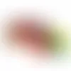 Clever Candy Small 3" Candy Tube with Gummy Bears - Imprint Now