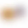 Fresh Beginnings Nuts For You! V1 - Imprint Now