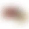 Tube with Animal Crackers - TRB610 - Imprint Now