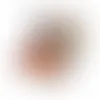 Domed Tin-Jelly Belly® - Imprint Now