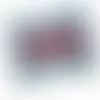 2oz. Full Color DigiBag™ with Cherry Bites - Imprint Now