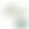Peppermint Soft Pastel Mints - Imprint Now
