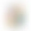 1oz. Goody Bags - Jelly Belly - Imprint Now