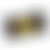1oz. Full Color DigiBag™ with Starzmania - Imprint Now