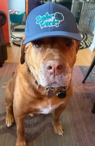 ImprintNow.Com - Full Color TPU