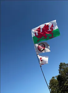 ImprintNow.Com - Rectangle Flag