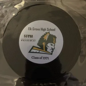 ImprintNow.Com - Soft Plastic Record Coaster