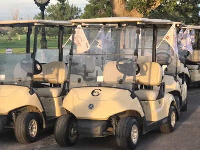 Car Flag - Flags turned out Amazing for golf carts at our annual Hero Expeditions golf tournament Thank you
