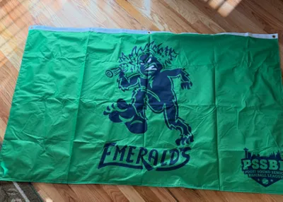 Rectangle Flag - Flag displayed on our team website and well be out on the field in February once our season