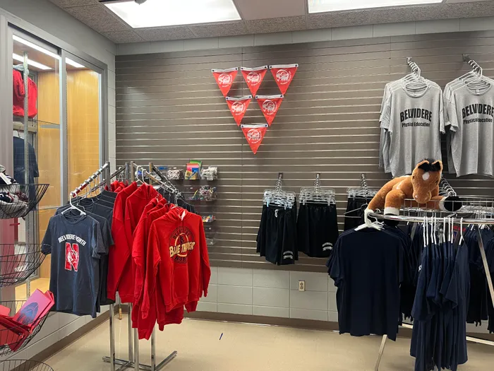 ImprintNow.Com - Triangle Flag