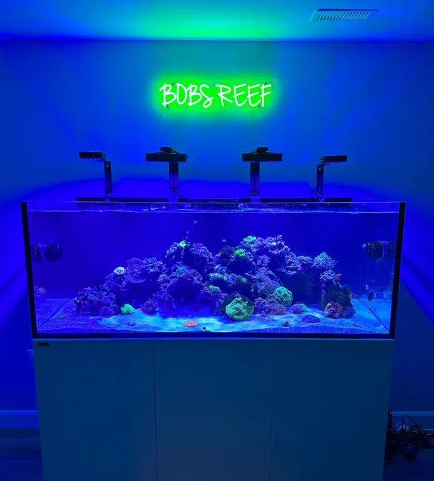 ImprintNow.Com - Custom Neon Sign