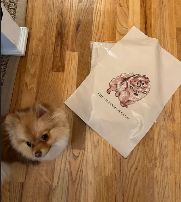 ImprintNow.Com - Custom Poly Mailer