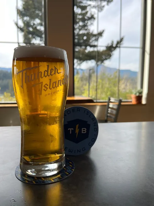 ImprintNow.Com - Pulpboard Coasters