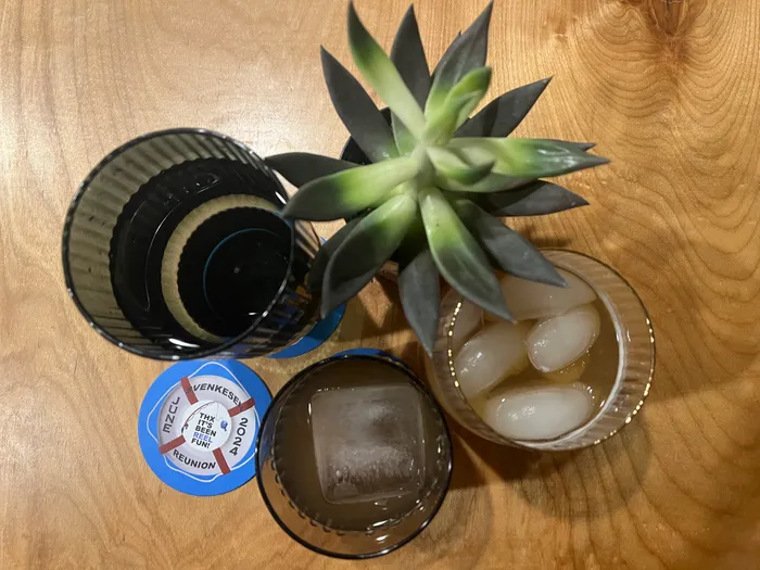 ImprintNow.Com - Super Absorbent Bar Coaster