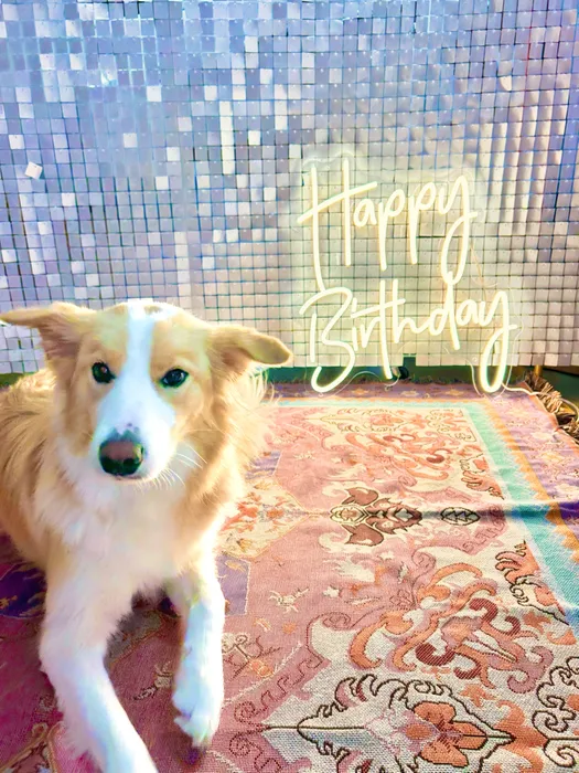 ImprintNow.Com - Custom Neon Sign