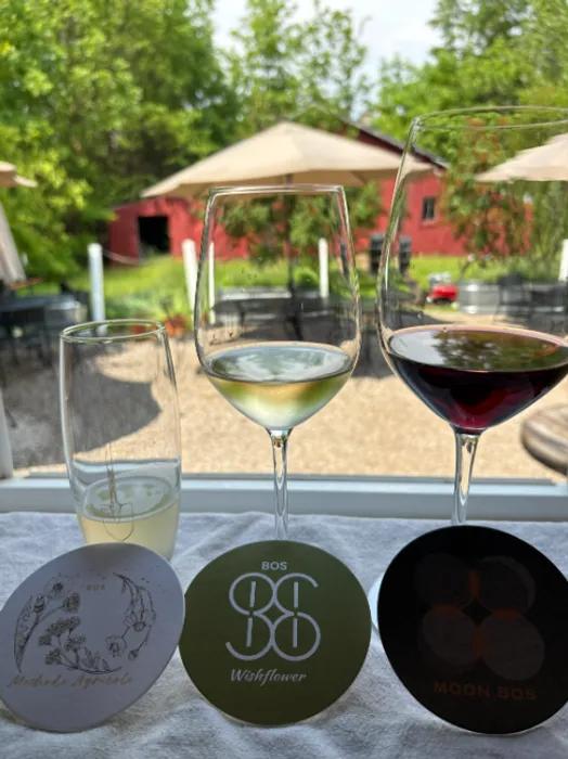 ImprintNow.Com - Pulpboard Coasters