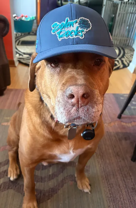 ImprintNow.Com - Full Color TPU