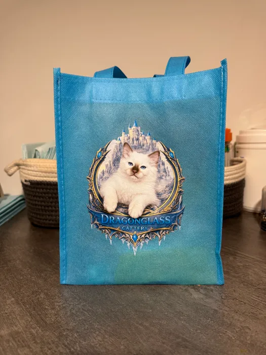 ImprintNow.Com - Custom Small Gift Tote Bag
