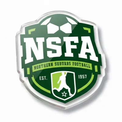 Custom Acrylic Magnets